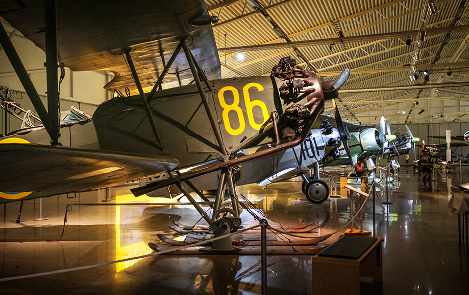 Ett &auml;ldre propellerflygplan med dukkl&auml;dda vingar och siffran 86 i gult p&aring; ena sidan. Bakom skymtas fler flygplan.