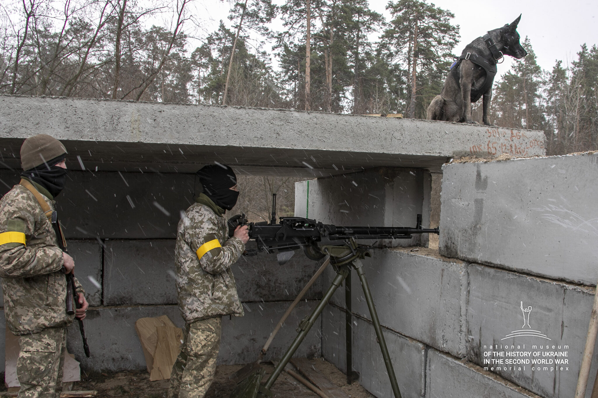 Tv&aring; milit&auml;rkl&auml;dda personer med vapen st&aring;r bakom en mur av betong och spanar. Uppep&aring; taket &ouml;ver muren sitter en hund och spanar i samma riktning.